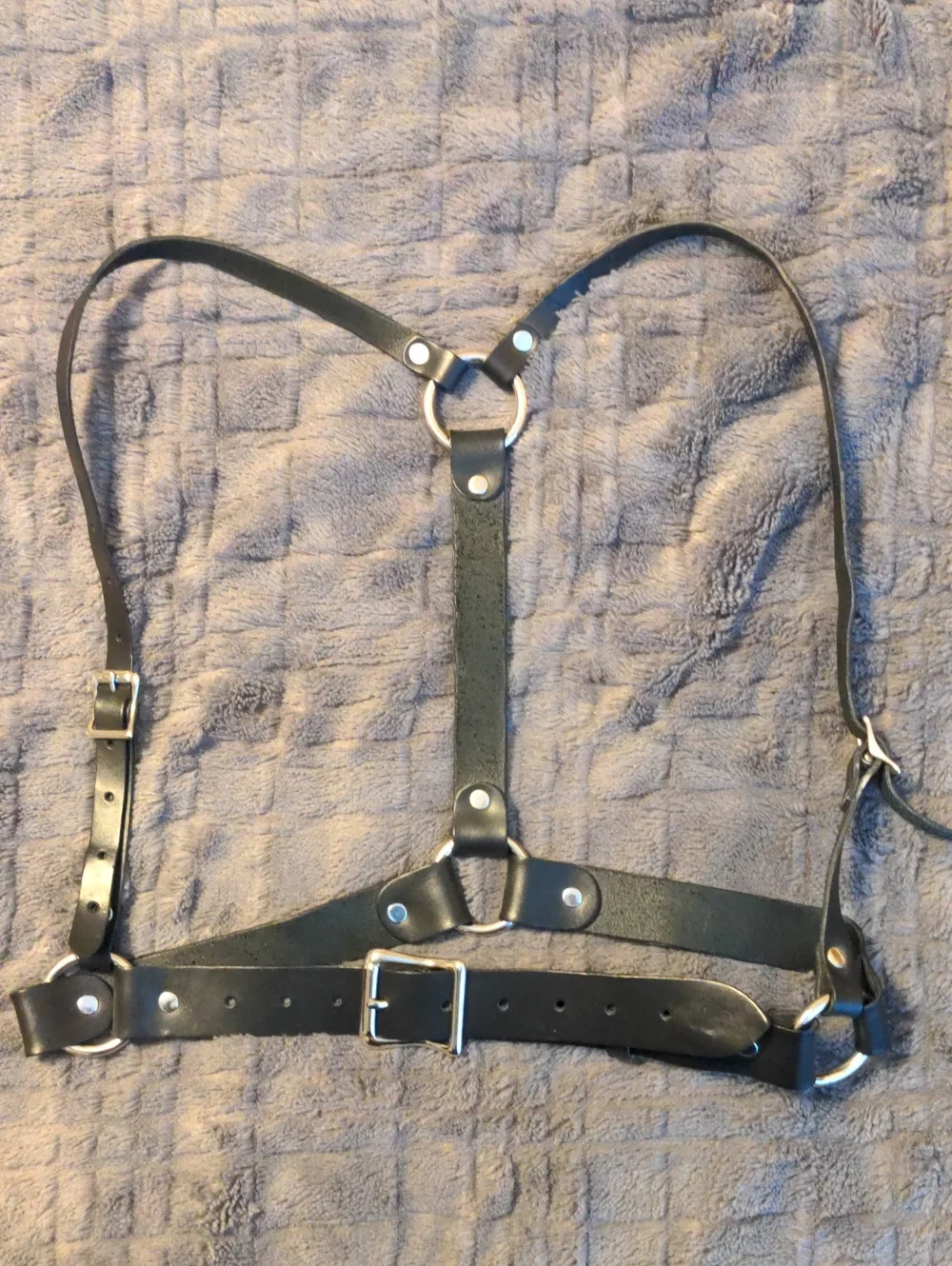Zana Bayne Signatire Harness L